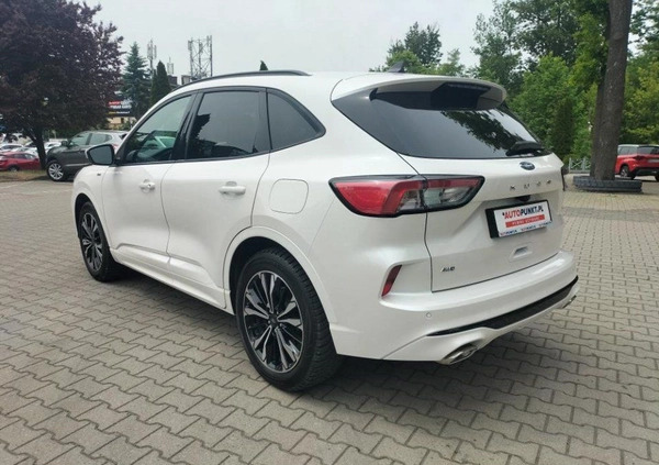 Ford Kuga cena 159900 przebieg: 29429, rok produkcji 2022 z Jasień małe 529